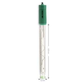 Electrodes