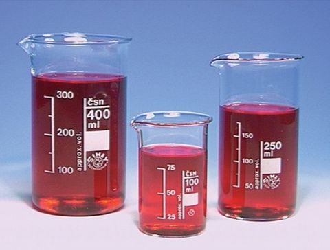 Beaker tall form glass 250ml  [WSL]