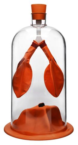 Lung Function Demonstration model