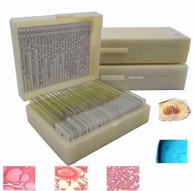 Slide Microscope Set -25slides Histology