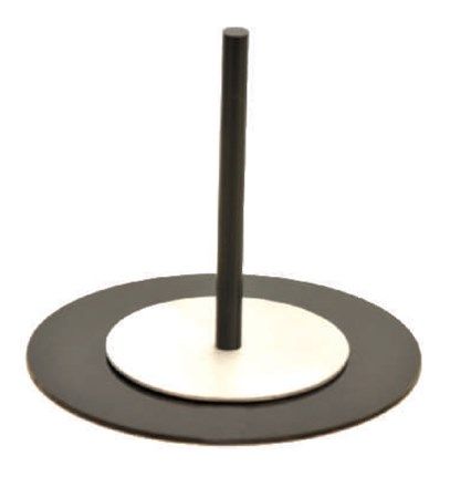 Electrophorus student