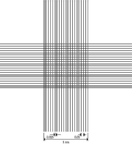Counting chamber Thoma dbl ruling [WSL]