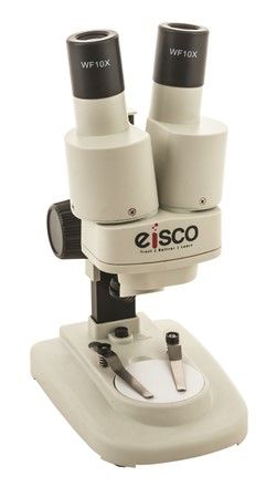 Microscope stereo vertical 20x WF10x