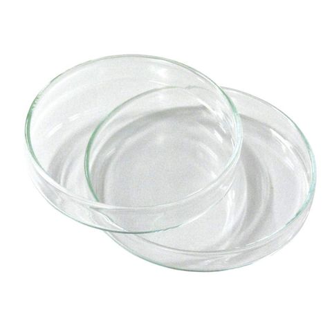 Petri dish soda glass 120x20mm economy