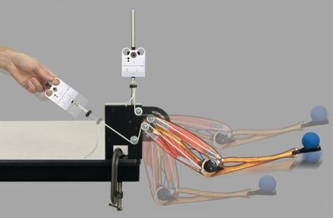 Human arm mechanical model Pasco