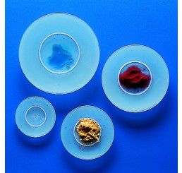 Watch glass PP 60mm diameter