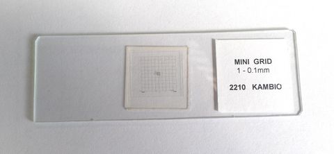 Minigrid slide 10x10mm graticle 0.1/1mm