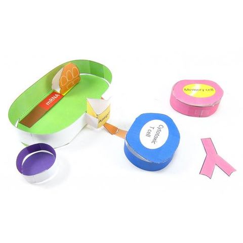 Coronavirus RNA vaccine