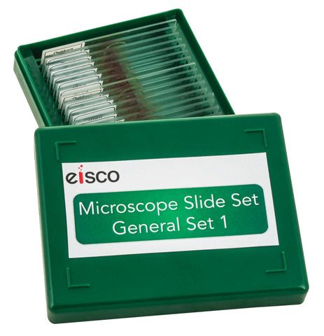 Microscope slide set - General 1