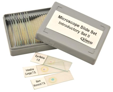 Microscope slides set 2 Introductory