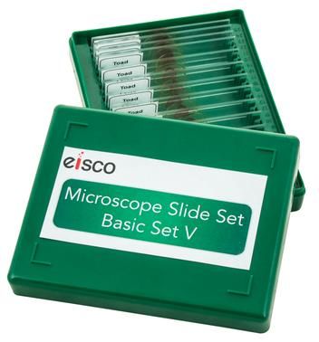Microscope slides set 5 Basic set/15