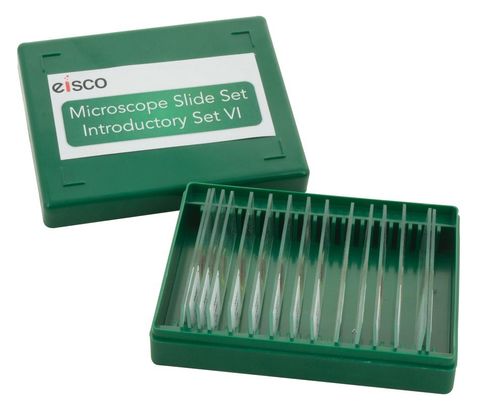 Microscope slides set 6 Introductory 15