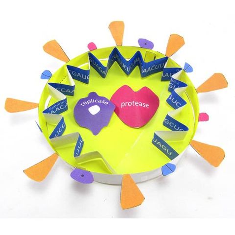 Coronavirus COVID-19