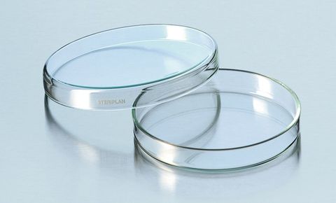 Petri dish soda glass 150x25mm [WSL]
