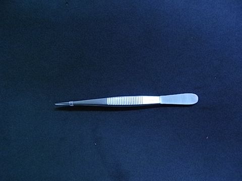 Forceps straight 100mm fine point