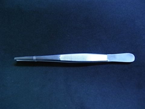 Forceps S/S straight 130mm medium point