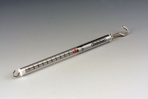 Spring balance precision 0.1N Silver