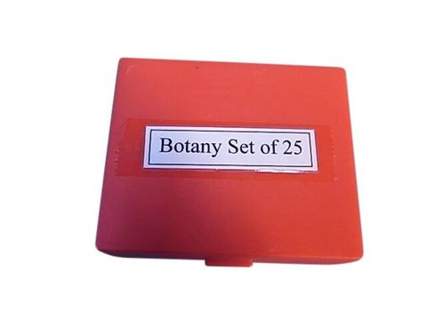 Slide set - Botany prepared slide set