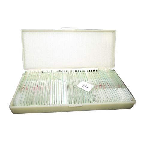 Slide set - Zoology prepared slide set