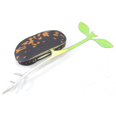 Seeds and Germination