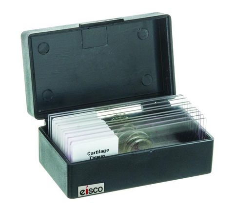 Microscope slide box PS 10 place