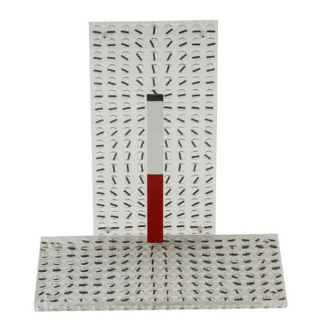 Magnetic field demo plates w/metal pins