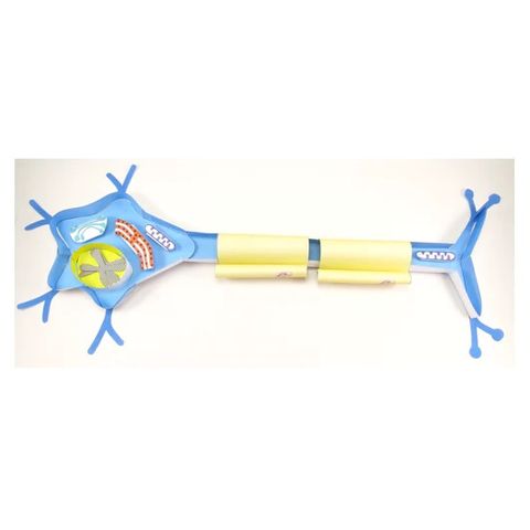 Nerve cell