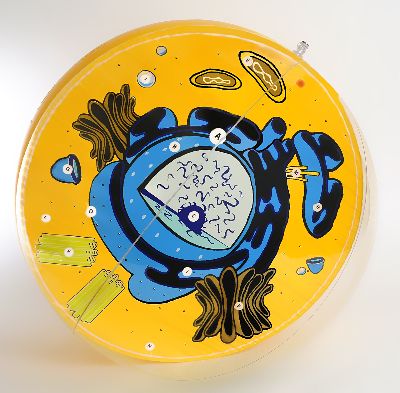 Animal Cell Inflatable Ball