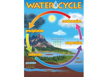 Water Cycle learning chart 43x55cm