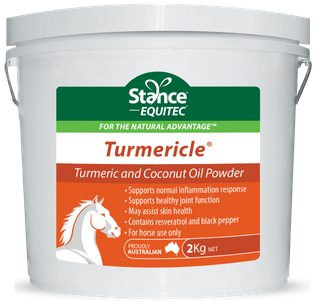 Turmericle 2 kg