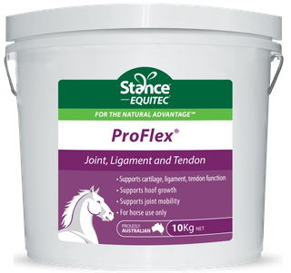 ProFlex 10 kg