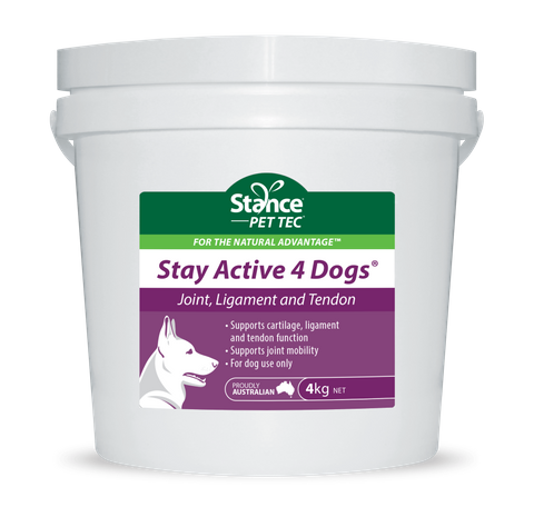 Stay Active 4 Dogs
