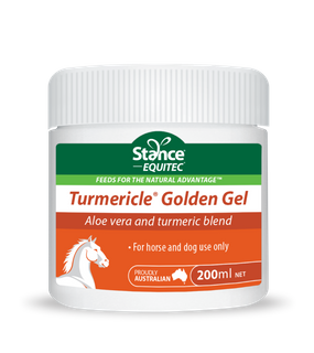 Turmericle Golden Gel 200 ml