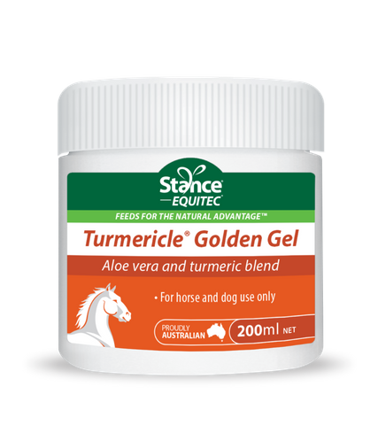 Turmericle Golden Gel