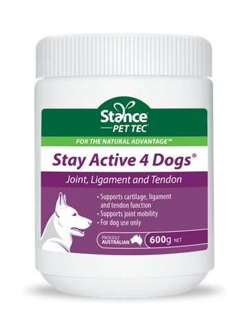 Stay Active 4 Dogs