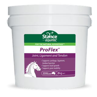 ProFlex 2 kg