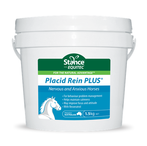 Placid Rein PLUS