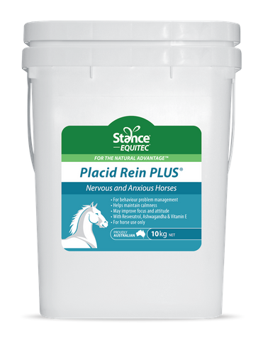 Placid Rein PLUS
