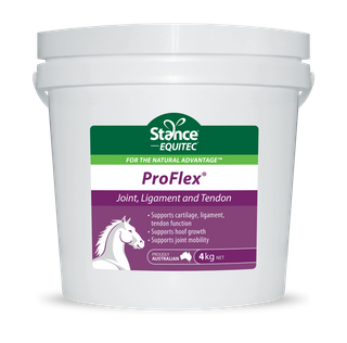 ProFlex 4Kg