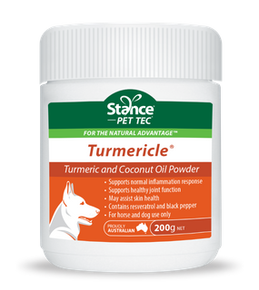 Turmericle 200 g - Dog