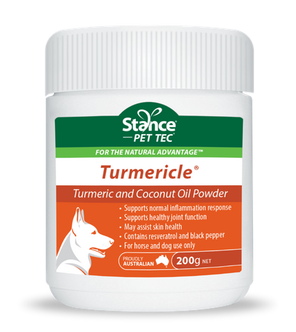 Turmericle 200 g - Dog