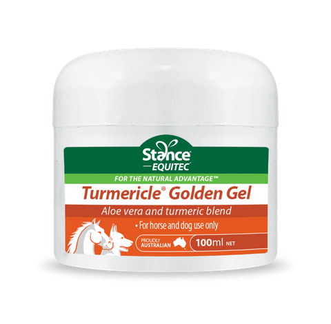 Turmericle Golden Gel 100 ml