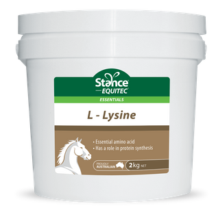 Equitec Essentials Lysine 2kg