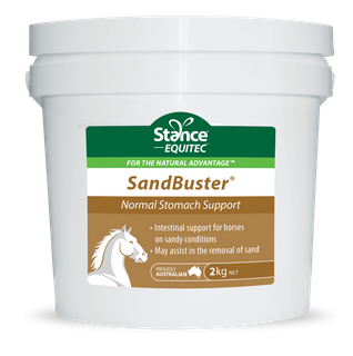 SandBuster 2 kg