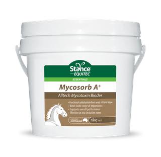 Equitec Essentials Mycosorb A+ 1 kg