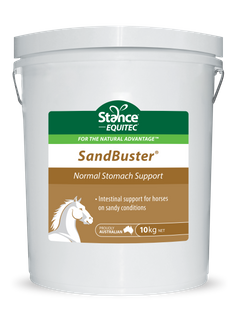 SandBuster 10 kg