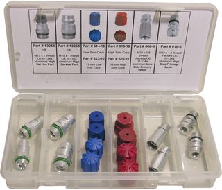 R134A SERVICE PORT AND CAP ASSORTMENT