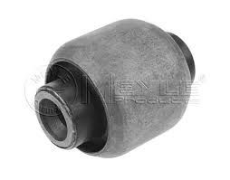 LOWER SUSP ARM INNER BUSH W221