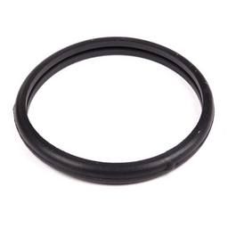 THERMOSTAT SEAL