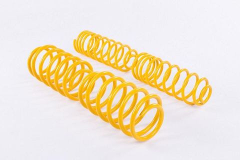 SPORT COIL SPRING SET W202 C280 -96 25MM